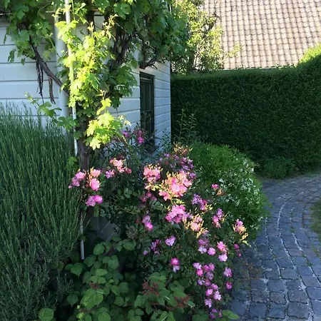 Curtevenne-annex, Monument Grenst Aan Natuurmonument Bed & Breakfast Kortenhoef